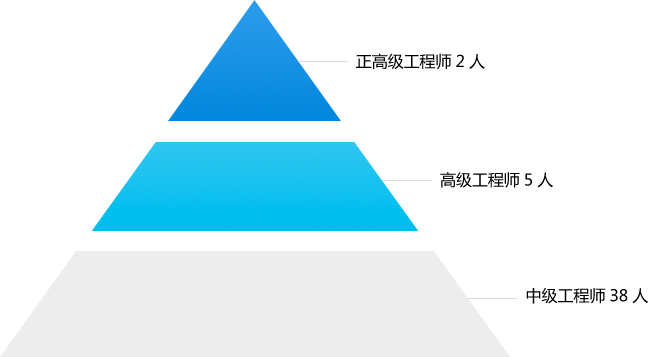 工程师及以上占总人数的49%
